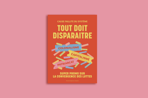 affiche convergence des luttes